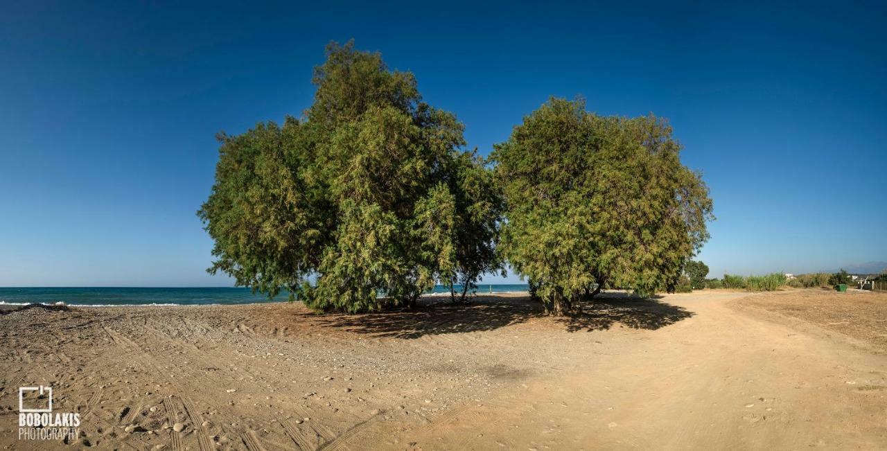 فيلا Sirens House Tavronitis المظهر الخارجي الصورة